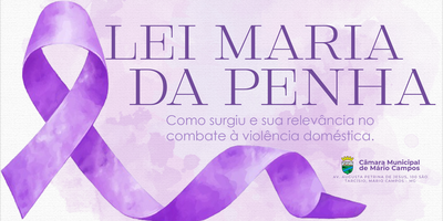 LEI_MARIA_DA_PENHA.png